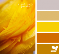 YellowPetals615.png