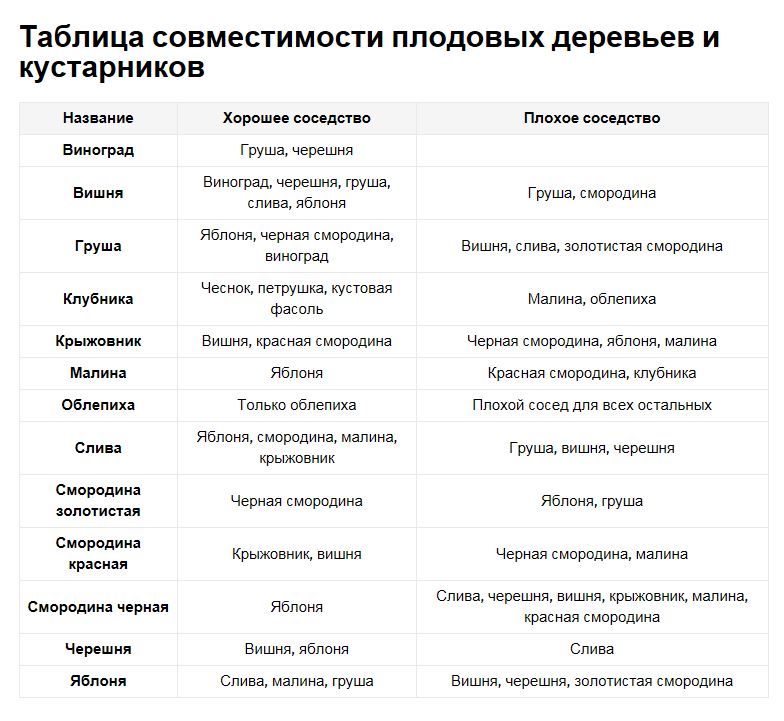 Таблица совместимости плодовых деревьев и кустарников.JPG