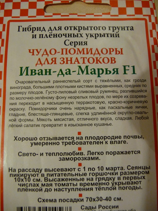 марья1.jpg