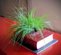 old-book-planter-0.jpg